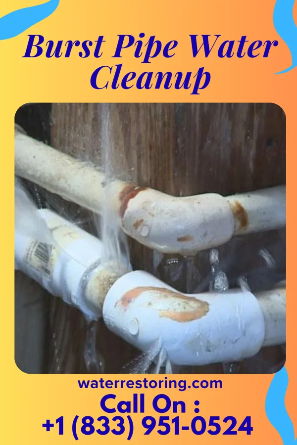Burst Pipe Water Cleanup in Bermuda Run, NC
