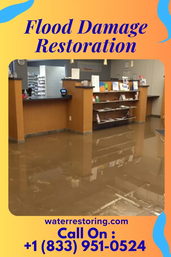 Flood Damage Restoration in Bermuda Run, NC