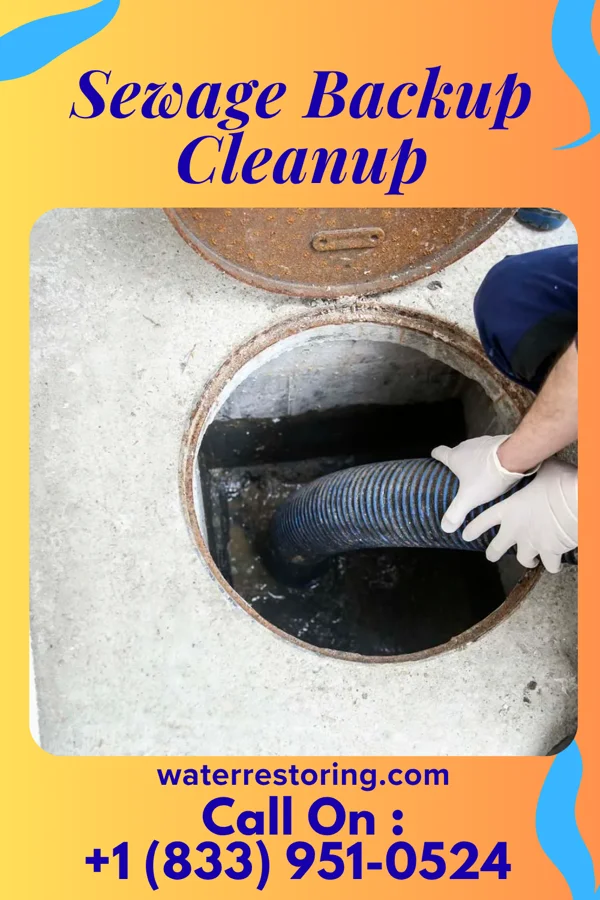 Sewage Backup Cleanup in Bermuda Run, NC