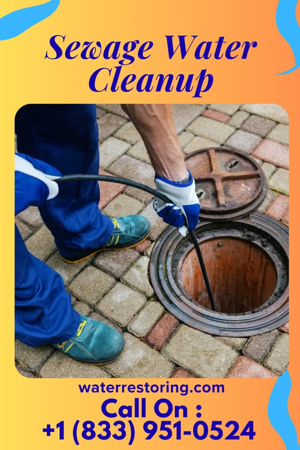 Sewage Water Cleanup in Bermuda Run, NC