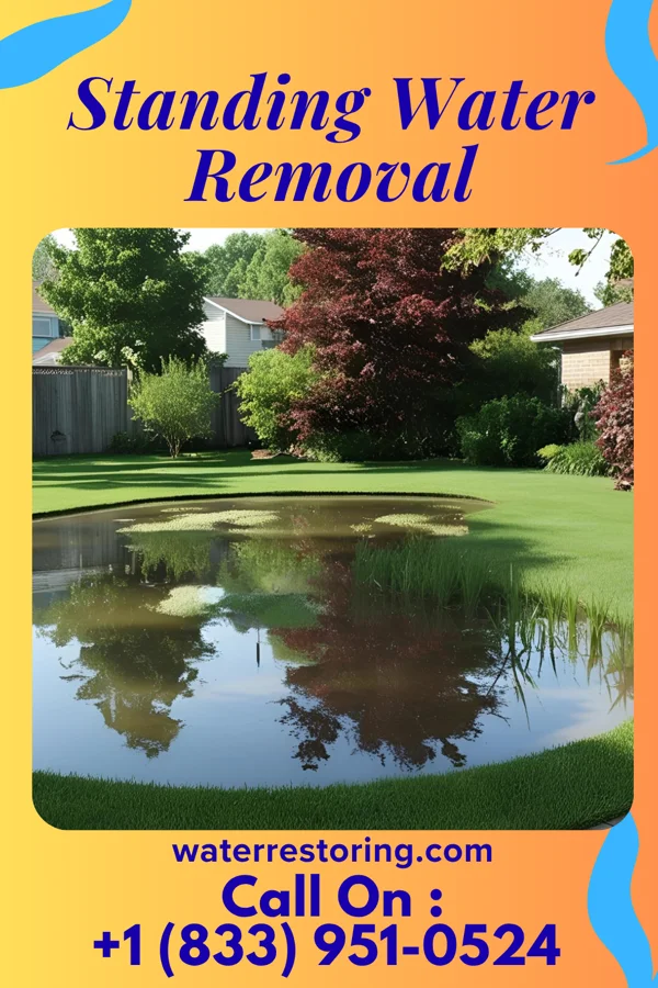 Standing Water Removal in Bermuda Run, NC